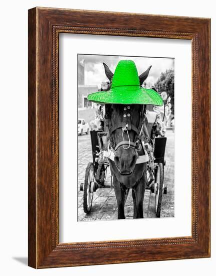 ¡Viva Mexico! B&W Collection - Horse with Green straw Hat-Philippe Hugonnard-Framed Photographic Print