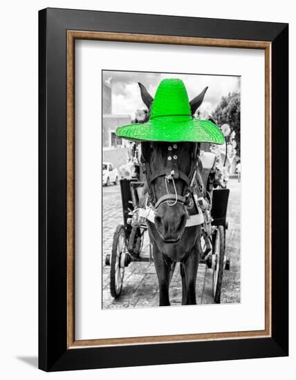 ¡Viva Mexico! B&W Collection - Horse with Green straw Hat-Philippe Hugonnard-Framed Photographic Print