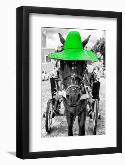 ¡Viva Mexico! B&W Collection - Horse with Green straw Hat-Philippe Hugonnard-Framed Photographic Print