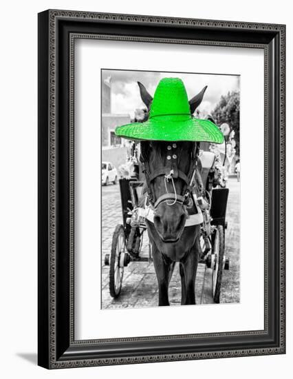 ¡Viva Mexico! B&W Collection - Horse with Green straw Hat-Philippe Hugonnard-Framed Photographic Print