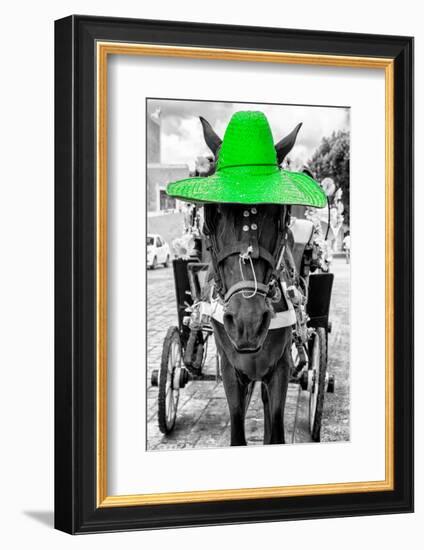 ¡Viva Mexico! B&W Collection - Horse with Green straw Hat-Philippe Hugonnard-Framed Photographic Print