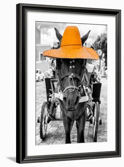 ¡Viva Mexico! B&W Collection - Horse with Light Orange straw Hat-Philippe Hugonnard-Framed Photographic Print