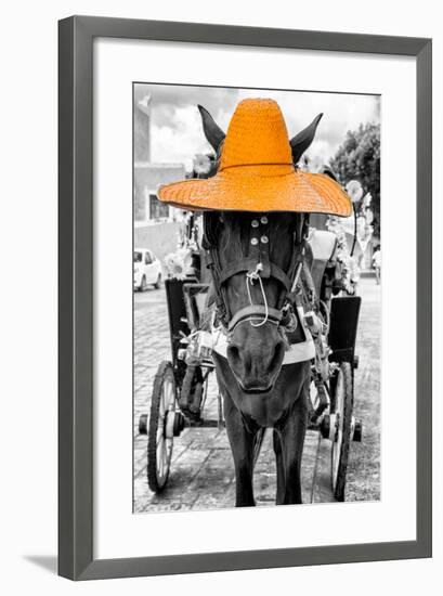 ¡Viva Mexico! B&W Collection - Horse with Light Orange straw Hat-Philippe Hugonnard-Framed Photographic Print