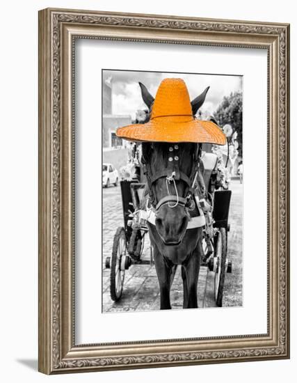 ¡Viva Mexico! B&W Collection - Horse with Light Orange straw Hat-Philippe Hugonnard-Framed Photographic Print