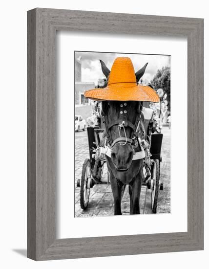 ¡Viva Mexico! B&W Collection - Horse with Light Orange straw Hat-Philippe Hugonnard-Framed Photographic Print