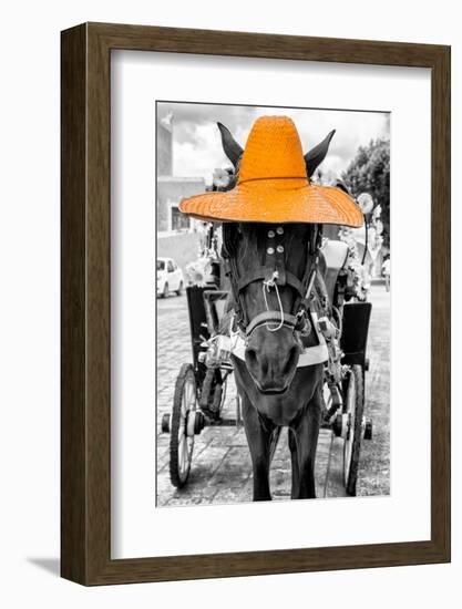 ¡Viva Mexico! B&W Collection - Horse with Light Orange straw Hat-Philippe Hugonnard-Framed Photographic Print