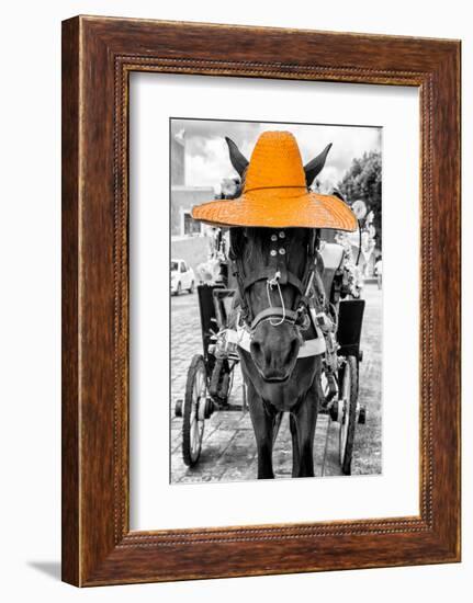 ¡Viva Mexico! B&W Collection - Horse with Light Orange straw Hat-Philippe Hugonnard-Framed Photographic Print