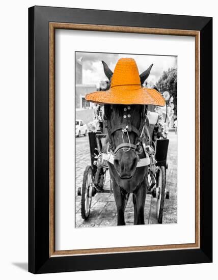 ¡Viva Mexico! B&W Collection - Horse with Light Orange straw Hat-Philippe Hugonnard-Framed Photographic Print