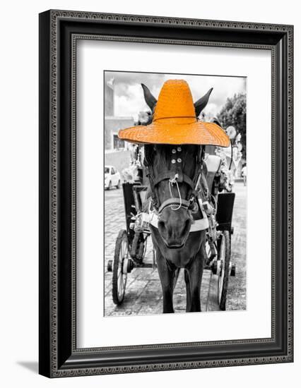 ¡Viva Mexico! B&W Collection - Horse with Light Orange straw Hat-Philippe Hugonnard-Framed Photographic Print