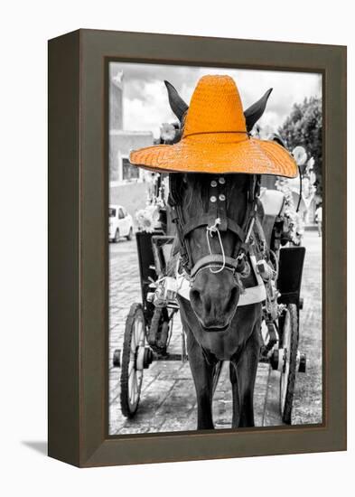 ¡Viva Mexico! B&W Collection - Horse with Light Orange straw Hat-Philippe Hugonnard-Framed Premier Image Canvas