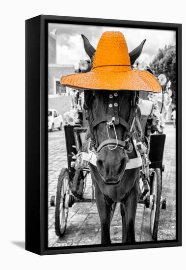 ¡Viva Mexico! B&W Collection - Horse with Light Orange straw Hat-Philippe Hugonnard-Framed Premier Image Canvas