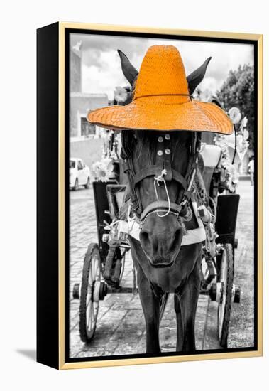 ¡Viva Mexico! B&W Collection - Horse with Light Orange straw Hat-Philippe Hugonnard-Framed Premier Image Canvas