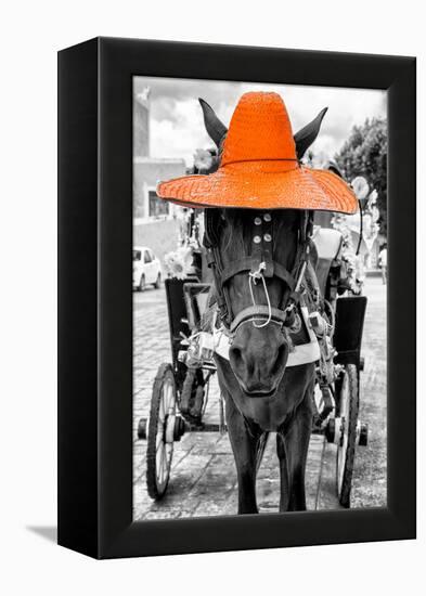 ¡Viva Mexico! B&W Collection - Horse with Orange straw Hat-Philippe Hugonnard-Framed Premier Image Canvas