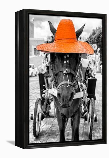 ¡Viva Mexico! B&W Collection - Horse with Orange straw Hat-Philippe Hugonnard-Framed Premier Image Canvas