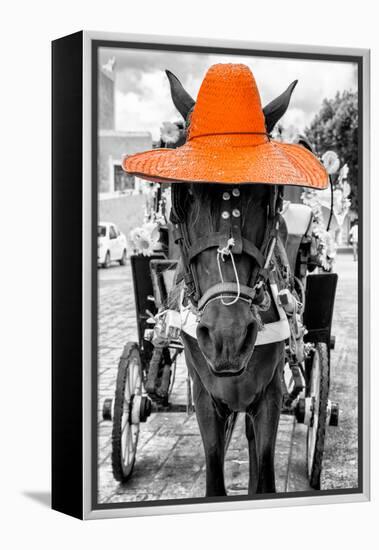 ¡Viva Mexico! B&W Collection - Horse with Orange straw Hat-Philippe Hugonnard-Framed Premier Image Canvas