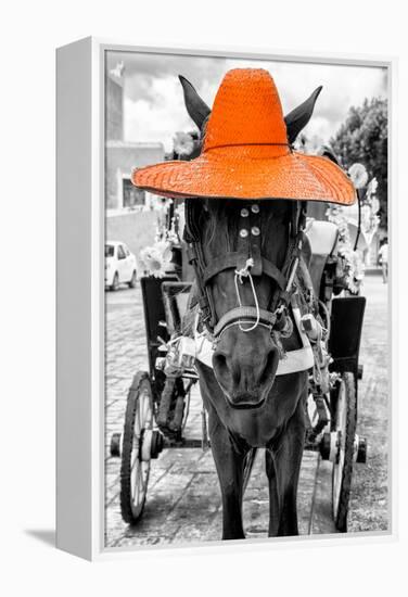 ¡Viva Mexico! B&W Collection - Horse with Orange straw Hat-Philippe Hugonnard-Framed Premier Image Canvas