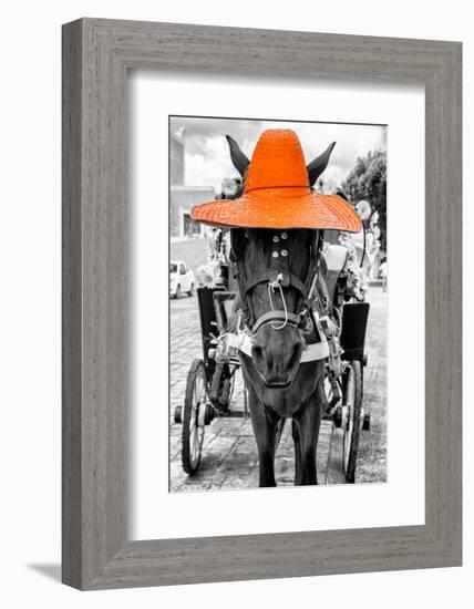 ¡Viva Mexico! B&W Collection - Horse with Orange straw Hat-Philippe Hugonnard-Framed Photographic Print