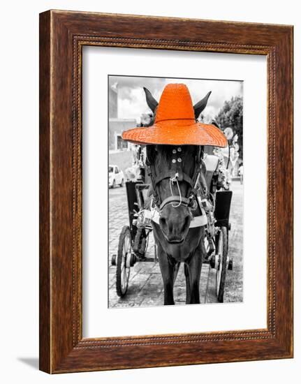 ¡Viva Mexico! B&W Collection - Horse with Orange straw Hat-Philippe Hugonnard-Framed Photographic Print