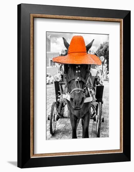 ¡Viva Mexico! B&W Collection - Horse with Orange straw Hat-Philippe Hugonnard-Framed Photographic Print