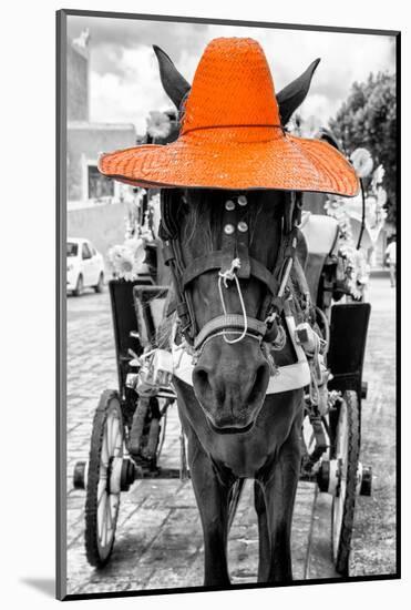 ¡Viva Mexico! B&W Collection - Horse with Orange straw Hat-Philippe Hugonnard-Mounted Photographic Print