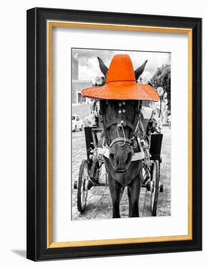 ¡Viva Mexico! B&W Collection - Horse with Orange straw Hat-Philippe Hugonnard-Framed Photographic Print