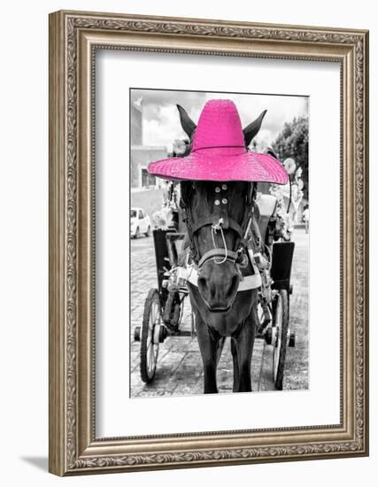 ¡Viva Mexico! B&W Collection - Horse with Pink straw Hat-Philippe Hugonnard-Framed Photographic Print