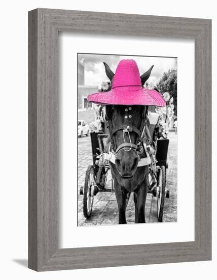 ¡Viva Mexico! B&W Collection - Horse with Pink straw Hat-Philippe Hugonnard-Framed Photographic Print