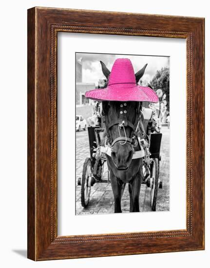 ¡Viva Mexico! B&W Collection - Horse with Pink straw Hat-Philippe Hugonnard-Framed Photographic Print