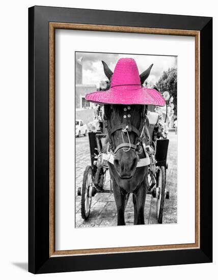 ¡Viva Mexico! B&W Collection - Horse with Pink straw Hat-Philippe Hugonnard-Framed Photographic Print