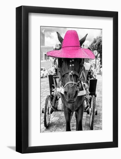 ¡Viva Mexico! B&W Collection - Horse with Pink straw Hat-Philippe Hugonnard-Framed Photographic Print