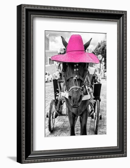 ¡Viva Mexico! B&W Collection - Horse with Pink straw Hat-Philippe Hugonnard-Framed Photographic Print