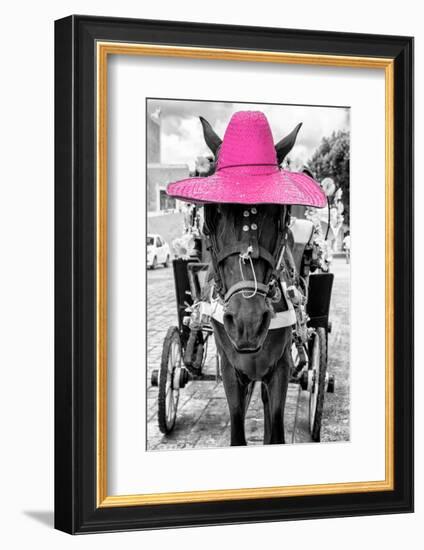 ¡Viva Mexico! B&W Collection - Horse with Pink straw Hat-Philippe Hugonnard-Framed Photographic Print