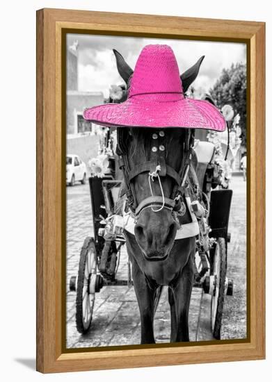 ¡Viva Mexico! B&W Collection - Horse with Pink straw Hat-Philippe Hugonnard-Framed Premier Image Canvas