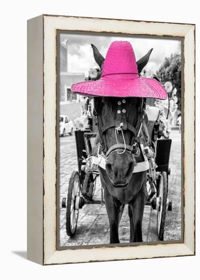 ¡Viva Mexico! B&W Collection - Horse with Pink straw Hat-Philippe Hugonnard-Framed Premier Image Canvas