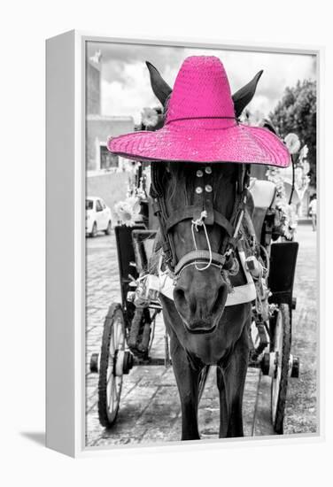 ¡Viva Mexico! B&W Collection - Horse with Pink straw Hat-Philippe Hugonnard-Framed Premier Image Canvas