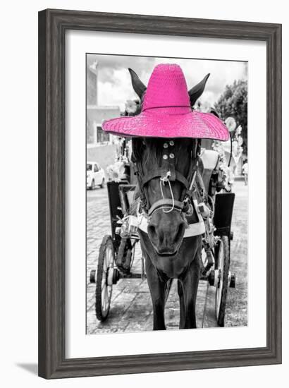 ¡Viva Mexico! B&W Collection - Horse with Pink straw Hat-Philippe Hugonnard-Framed Photographic Print