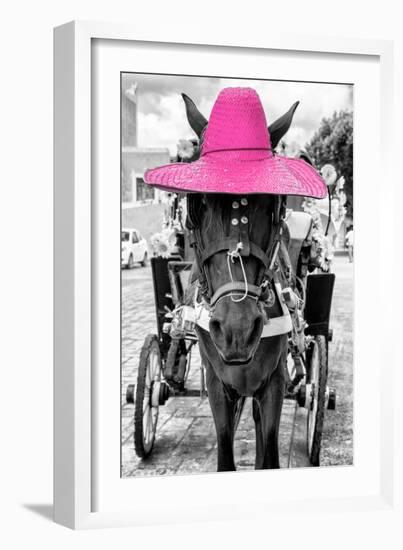 ¡Viva Mexico! B&W Collection - Horse with Pink straw Hat-Philippe Hugonnard-Framed Photographic Print