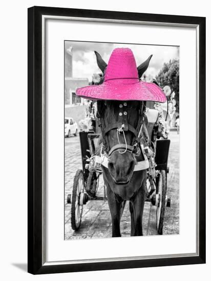 ¡Viva Mexico! B&W Collection - Horse with Pink straw Hat-Philippe Hugonnard-Framed Photographic Print