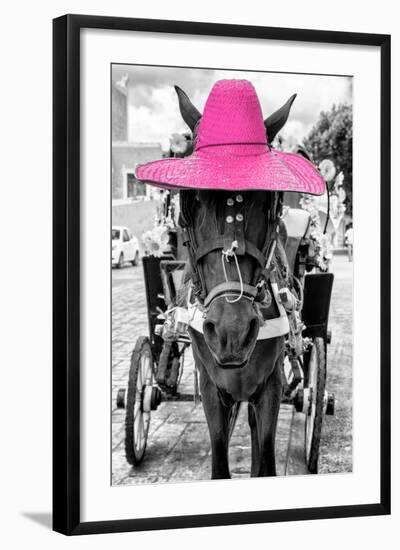 ¡Viva Mexico! B&W Collection - Horse with Pink straw Hat-Philippe Hugonnard-Framed Photographic Print