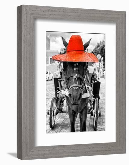 ¡Viva Mexico! B&W Collection - Horse with Red straw Hat-Philippe Hugonnard-Framed Photographic Print