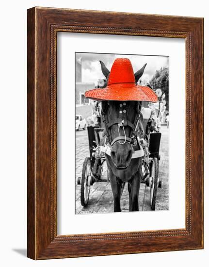 ¡Viva Mexico! B&W Collection - Horse with Red straw Hat-Philippe Hugonnard-Framed Photographic Print