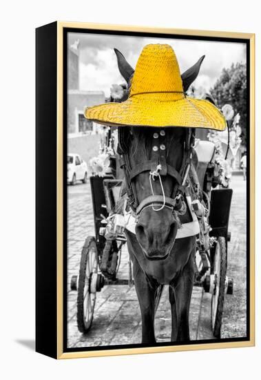 ¡Viva Mexico! B&W Collection - Horse with Yellow straw Hat-Philippe Hugonnard-Framed Premier Image Canvas