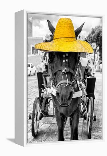 ¡Viva Mexico! B&W Collection - Horse with Yellow straw Hat-Philippe Hugonnard-Framed Premier Image Canvas