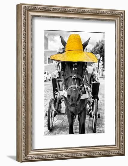 ¡Viva Mexico! B&W Collection - Horse with Yellow straw Hat-Philippe Hugonnard-Framed Photographic Print