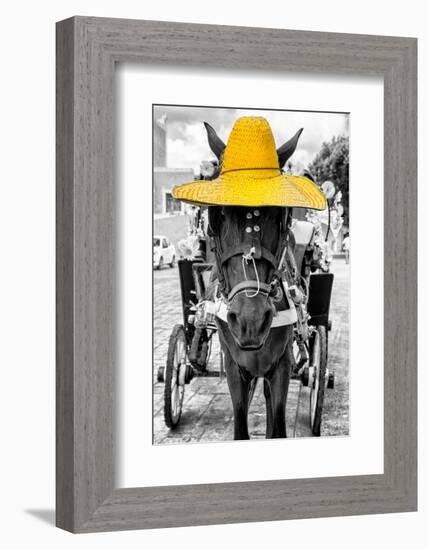 ¡Viva Mexico! B&W Collection - Horse with Yellow straw Hat-Philippe Hugonnard-Framed Photographic Print