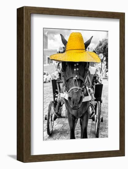 ¡Viva Mexico! B&W Collection - Horse with Yellow straw Hat-Philippe Hugonnard-Framed Photographic Print