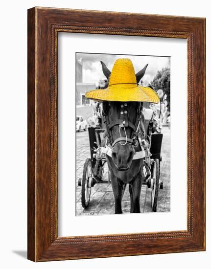 ¡Viva Mexico! B&W Collection - Horse with Yellow straw Hat-Philippe Hugonnard-Framed Photographic Print