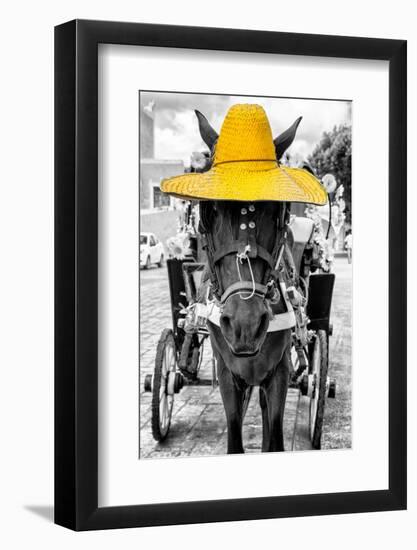 ¡Viva Mexico! B&W Collection - Horse with Yellow straw Hat-Philippe Hugonnard-Framed Photographic Print