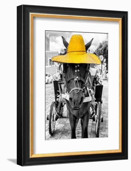 ¡Viva Mexico! B&W Collection - Horse with Yellow straw Hat-Philippe Hugonnard-Framed Photographic Print