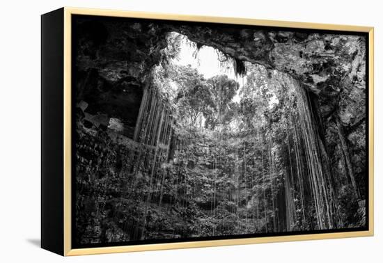 ¡Viva Mexico! B&W Collection - Ik-Kil Cenote-Philippe Hugonnard-Framed Premier Image Canvas